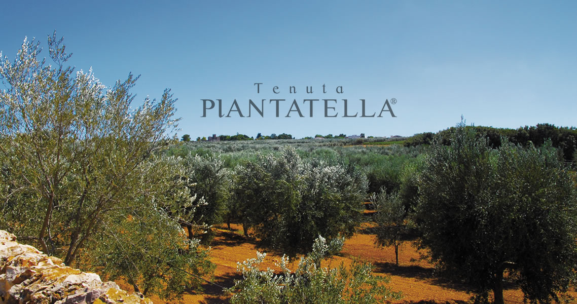 Tenuta Piantatella
